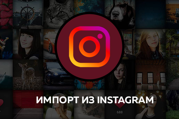 Импорт изображений из Instagram - NorrCompetition